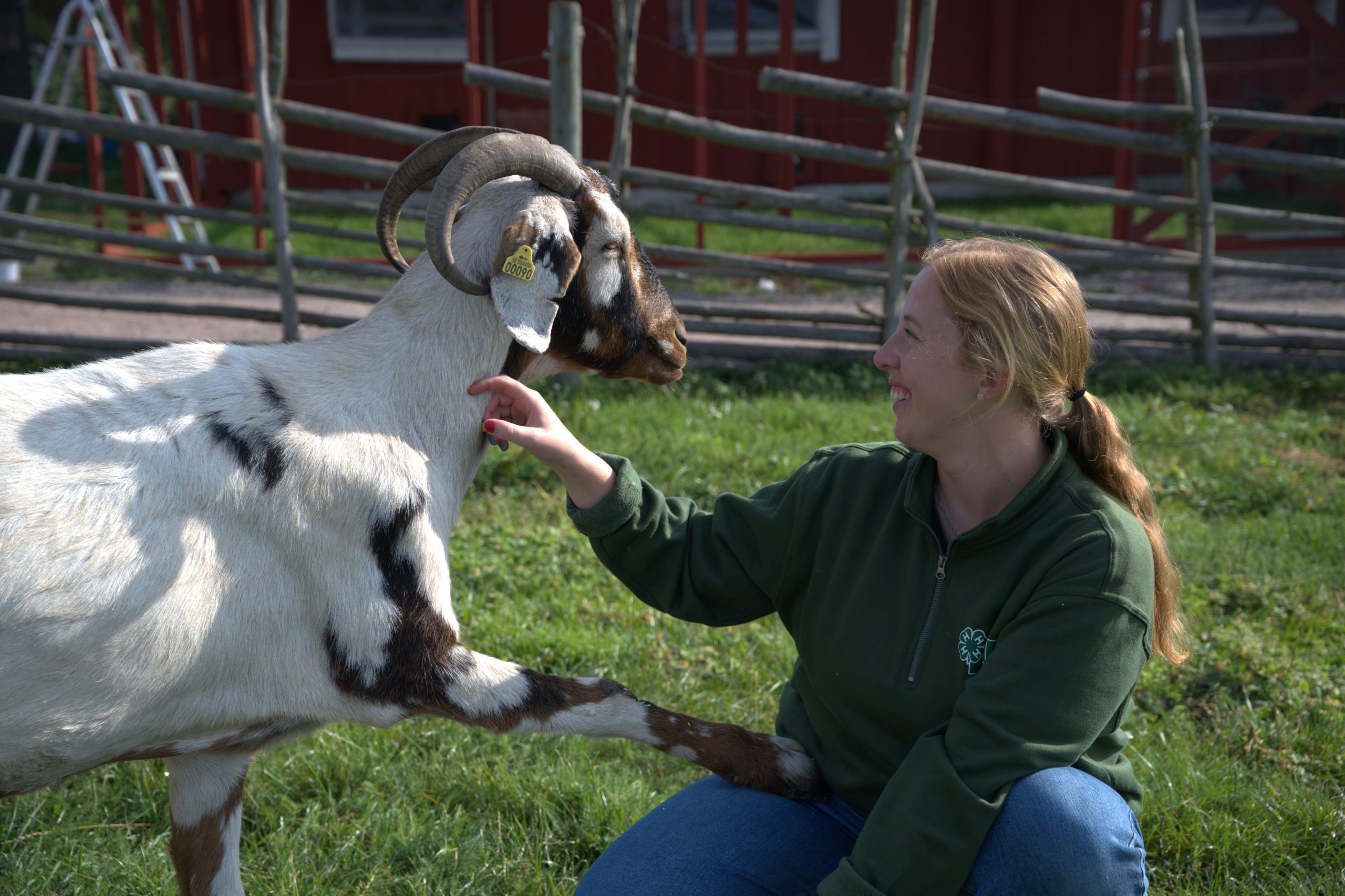 Isabelle sitter på huk och klappar geten Jerry. Jerry klappar Isabelle tillbaka och lägger klöven på hennes lår.