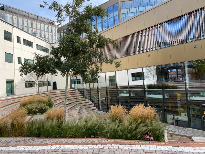 Byggnaden Radix på Linnéuniversitetet