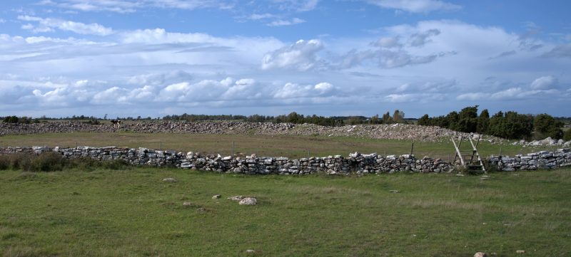 På en gräsplätt syns ruinerna av den ovala borgen.
