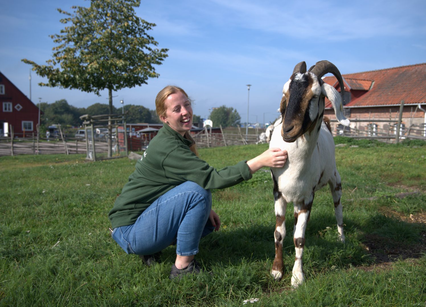 Isabelle sitter på huk i gethagen och klappar geten Jerry. Han är vit med bruna fläckar och brun mule. 