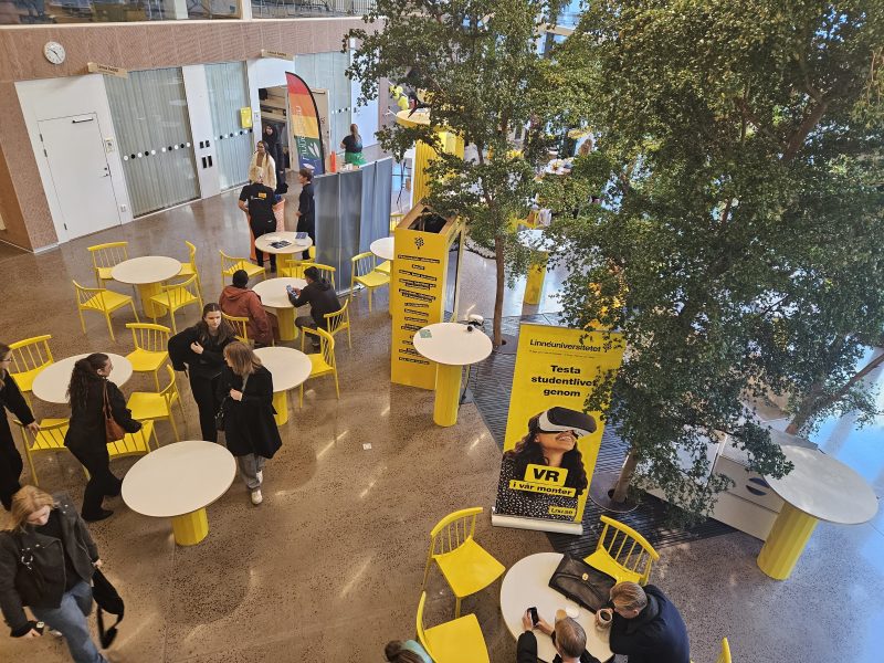 överblicks bild på gropen i radix