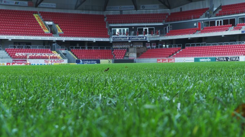 Bild på gräsmattan inne på Guldfågeln Arena