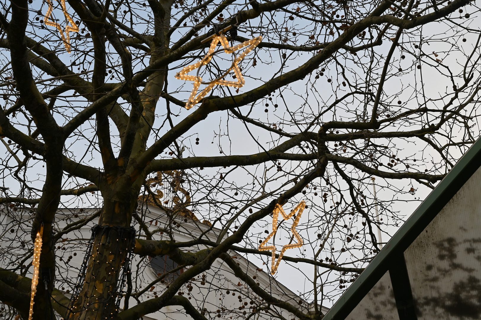 Lysande julstjärnor som hänger från träd på larmtorget.