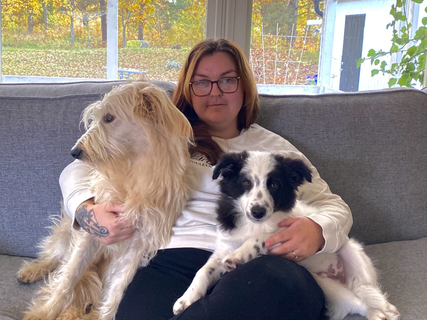 En kvinna sitter i en soffa. Kvinnan håller om två hundar, en midre svart och vit samt en större hund som är beige.