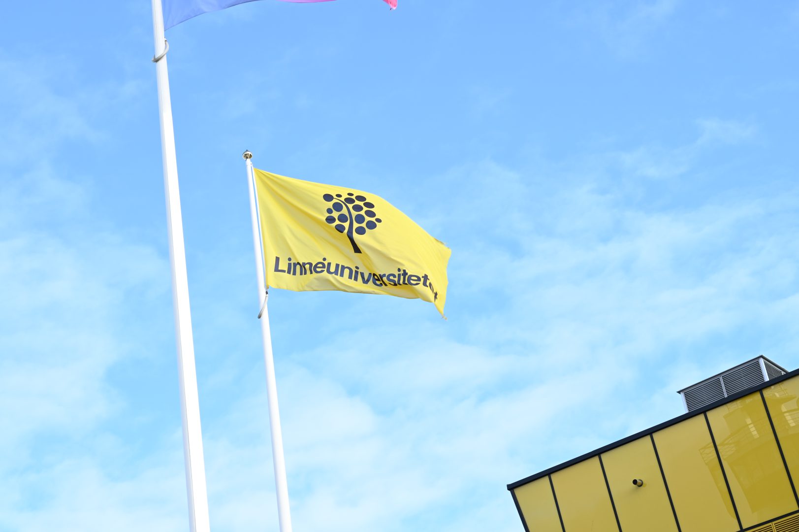 Bild på en flagga mot en blå himmel. På flaggan finns det ett träd och med texten Linnéuniversitetet. 