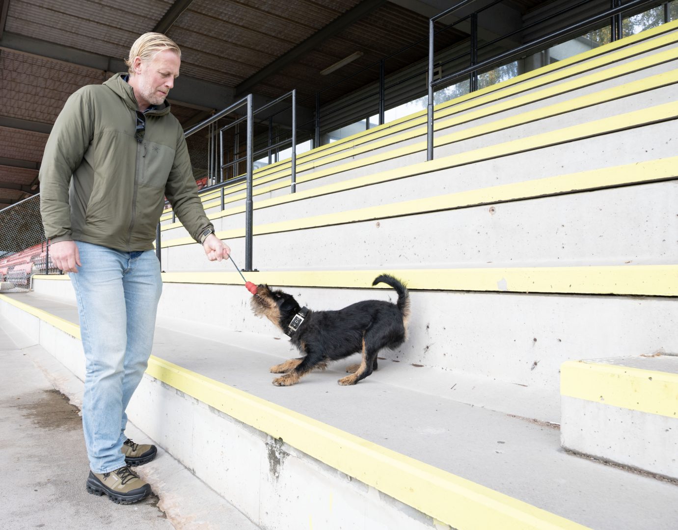 En person står utomhus på en betongyta med gula trappsteg i bakgrunden och håller i ett rött rep som en liten strävhårig svart och brun hund drar i. Personen är klädd i en grön jacka och ljusa jeans och hunden verkar leka ivrigt.