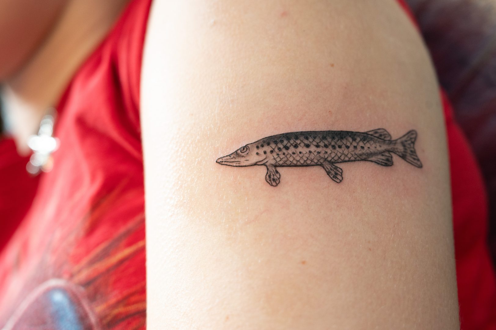 En närbild på en nygjord tatuering. Motivet föreställer en liten en gädda tecknad i svart bläck med tunna linjer och ett mönster av fjäll längs kroppen. Huden runt tatueringen är något röd, vilket tyder på att tatueringen är nyligen gjord.