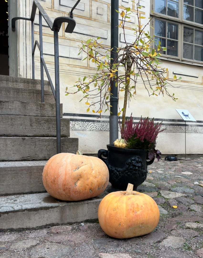 Två stora pumpor står vid stentrappan till en byggnad med ljus fasad. Bredvid trappan står en svart kruka med höstblommor och ett litet träd med gulnande löv. 