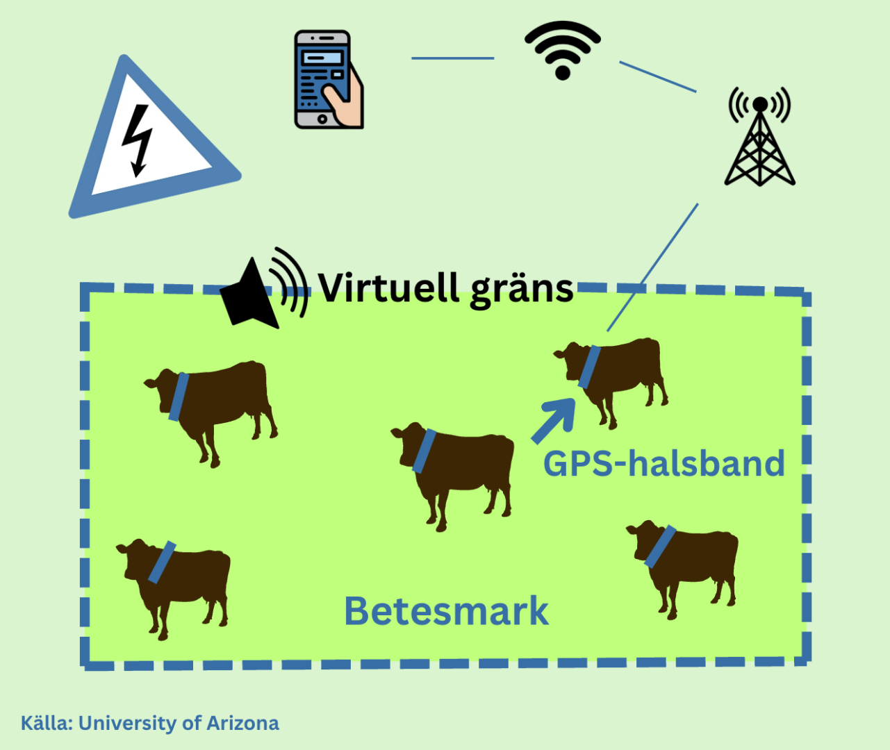 Infografik som illustrerar hur de virtuella gränserna fungerar. 