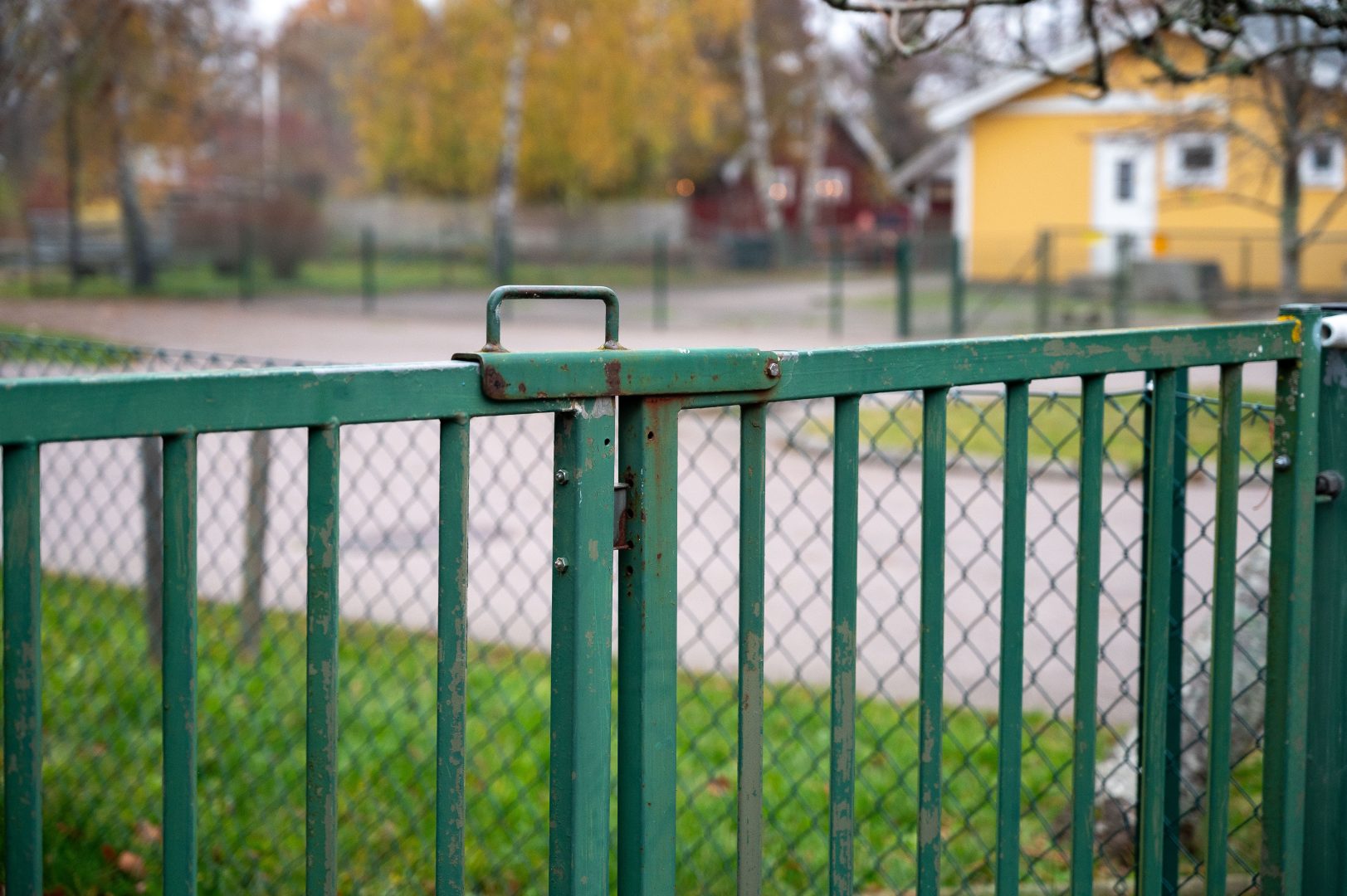 Bild på en stängd grön skol-grind.