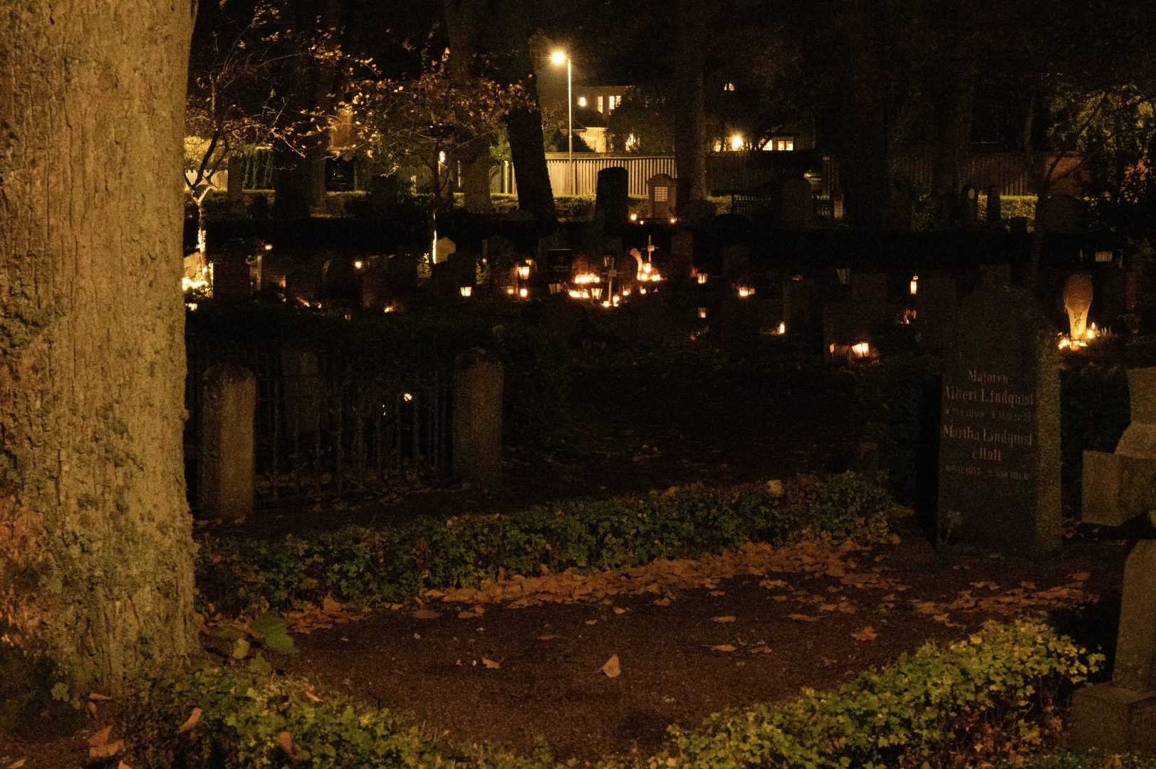 En översiktlig bild över hur ljusen lyser över den mörka kyrkogården. Det är ett träd och en grav i förgrunden